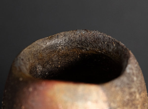 Kakurezaki Ryuichi (隠崎隆一) Japanese, b. 1950