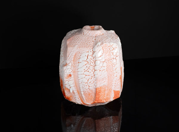 Hayashi Shotaro (林正太郎), Japanese (b. 1947)