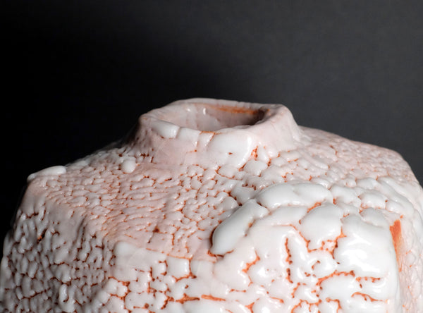 Hayashi Shotaro (林正太郎), Japanese (b. 1947)