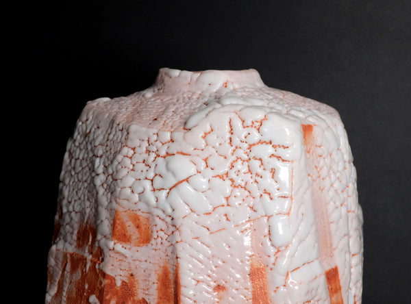 Hayashi Shotaro (林正太郎), Japanese (b. 1947)