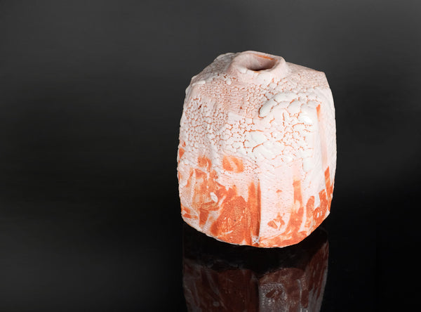 Hayashi Shotaro (林正太郎), Japanese (b. 1947)