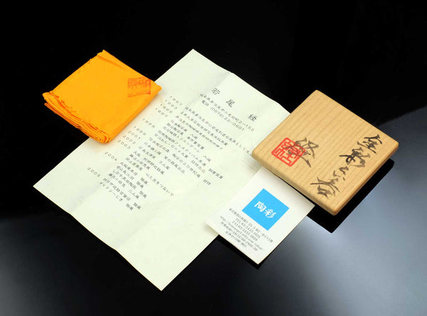 Wakao Kei (若尾経), Japanese, b. 1967