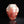 Load image into Gallery viewer, A Nezumi Shino Flower Vase with Spring and Autumn Motif
