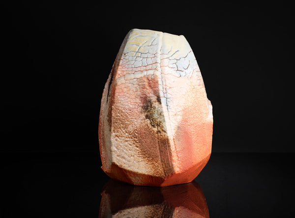 Hayashi Shotaro (林正太郎), Japanese (b. 1947)