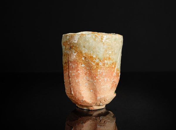 Fujioka Shuhei (藤岡周平), Japanese (b. 1947)