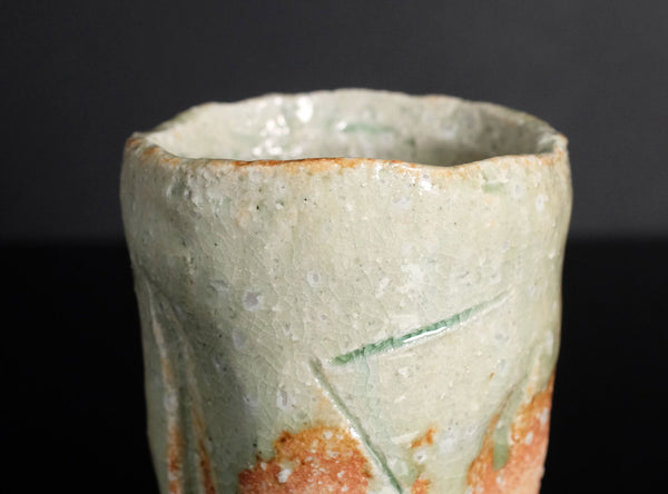 Fujioka Shuhei (藤岡周平), Japanese (b. 1947)