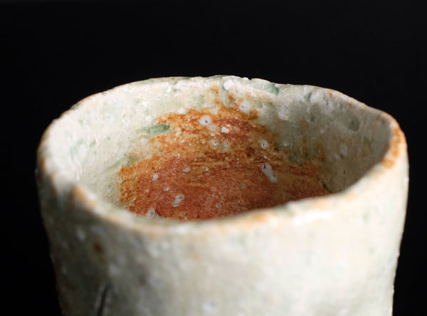 Fujioka Shuhei (藤岡周平), Japanese (b. 1947)