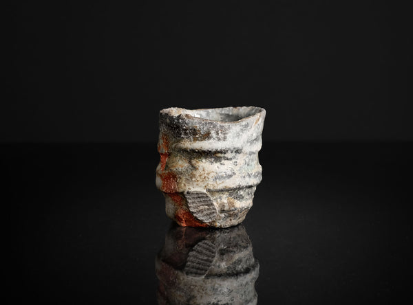Fujioka Shuhei (藤岡周平), Japanese (b. 1947)