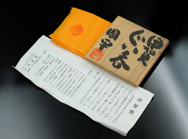 Fujioka Shuhei (藤岡周平), Japanese (b. 1947)