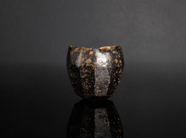 Isezaki Koichiro (伊勢崎晃一朗), Japanese, b. 1974