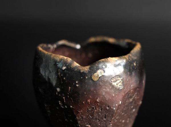 Isezaki Koichiro (伊勢崎晃一朗), Japanese, b. 1974