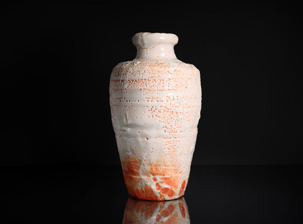 Hayashi Shotaro (林正太郎), Japanese (b. 1947)