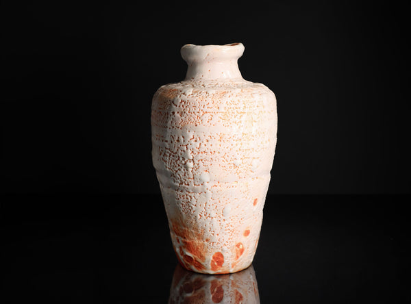 Hayashi Shotaro (林正太郎), Japanese (b. 1947)