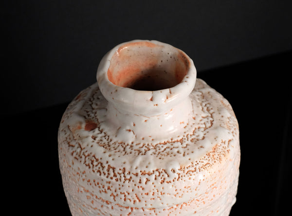 Hayashi Shotaro (林正太郎), Japanese (b. 1947)