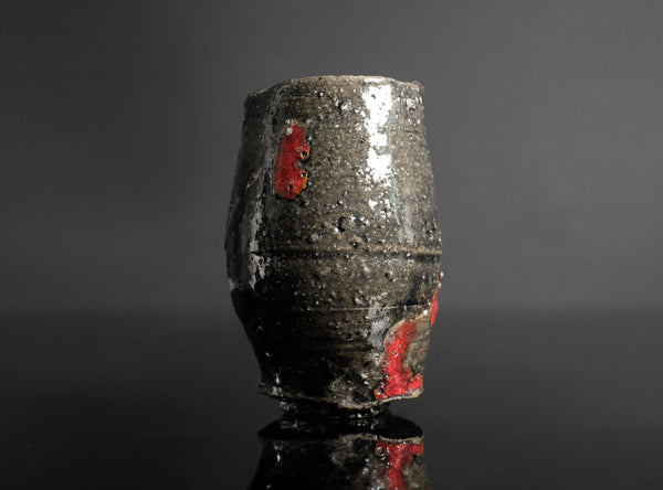 Toru Ichikawa (市川透), Japanese (b. 1973)