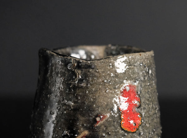 Toru Ichikawa (市川透), Japanese (b. 1973)
