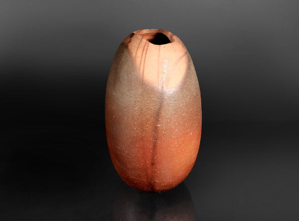 Hiroyuki Wakimoto (脇本博之), Japanese (b. 1952)