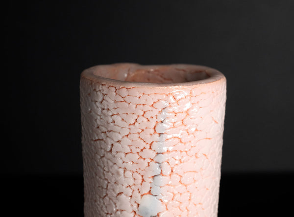 Ryoji Hayashi (林亮次), Japanese, b.1940