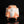 Load image into Gallery viewer, A sculptural ceramic vessel with a textured, ribbed surface, featuring a white glaze with orange and reddish-brown marbled accents, set against a solid black background with a reflective surface below.
