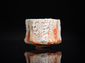 Coral-like object with red and white patterns on a black background