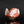 Load image into Gallery viewer, A handmade ceramic bowl with a textured, organic shape in terracotta red and white, displayed on a reflective black surface against a dark background.
