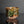 將圖片載入到圖庫檢視器中， A handmade ceramic tea bowl with a glossy, textured glaze in earthy brown and green tones, displayed on a reflective black surface against a dark gray background.

