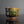 將圖片載入到圖庫檢視器中， A handmade ceramic tea bowl with a glossy, textured glaze in earthy brown and green tones, displayed on a reflective black surface against a dark gray background.
