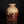 Load image into Gallery viewer, Decorative glass vase with a textured surface on a black background
