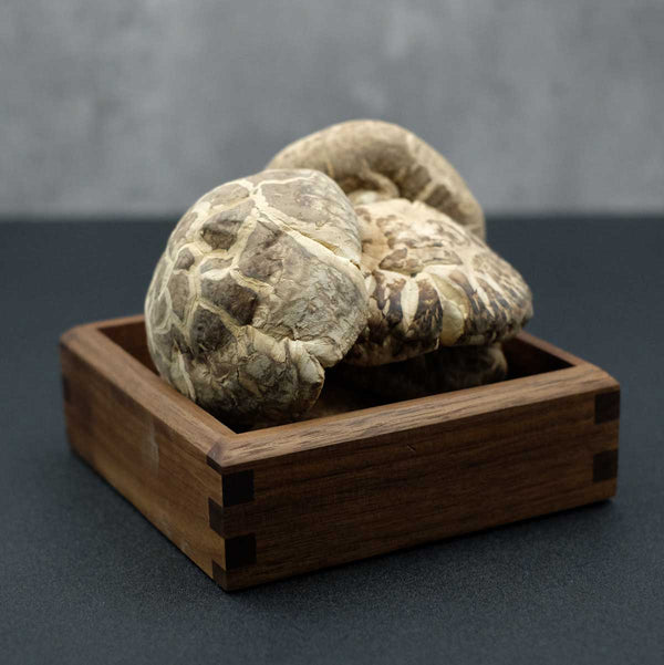 Natural Dried Stemless Shiitake Mushrooms 日本冇腳冬菇  XL Size