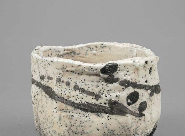 Steven Branfman, American (b. 1953)