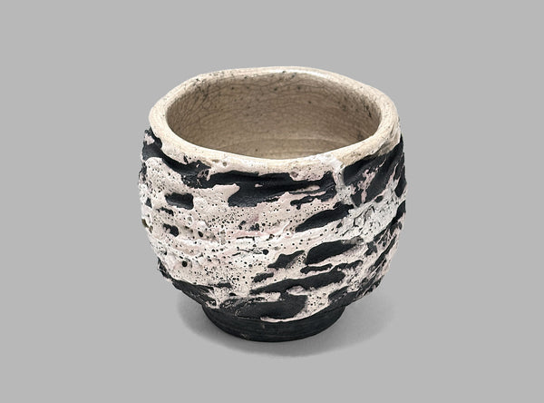 Steven Branfman, American (b. 1953)