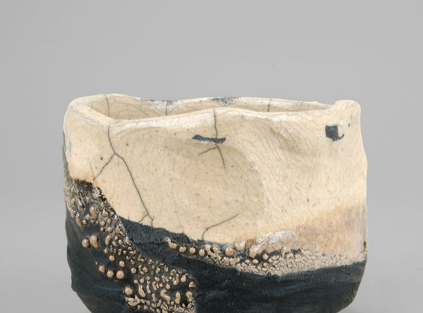 Steven Branfman, American (b. 1953)