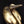 Load image into Gallery viewer, Bronze sculpture of a pelican on a black background
