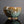 將圖片載入到圖庫檢視器中， Ueda Tsuneji (上田恒次), Japanese, (1914–1987)
