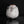 Load image into Gallery viewer, A Nezumi Shino Ja
