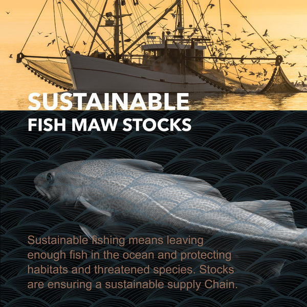 Sustainable fish maw stocks, Atlantic Cod, North East Atlantic Ocean