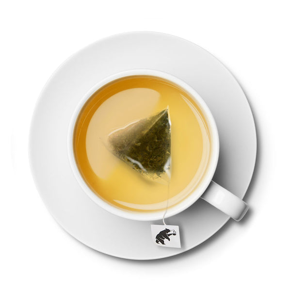 Pure kombucha Wild Mountain Tea/ inhibitor for virus/ 10 Cold Brew Pyramid Tea Bags